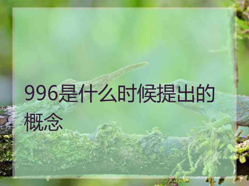 996是什么时候提出的概念