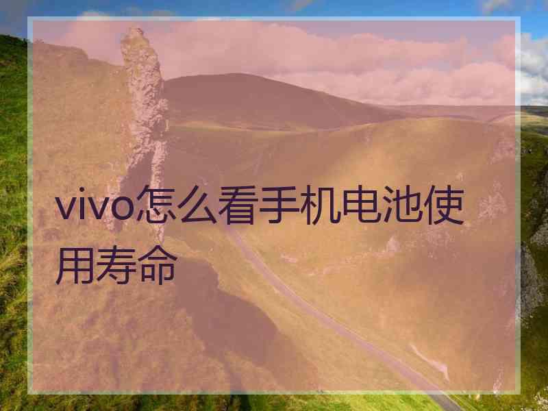 vivo怎么看手机电池使用寿命