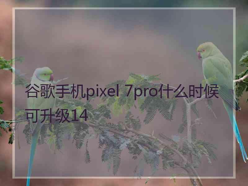 谷歌手机pixel 7pro什么时候可升级14