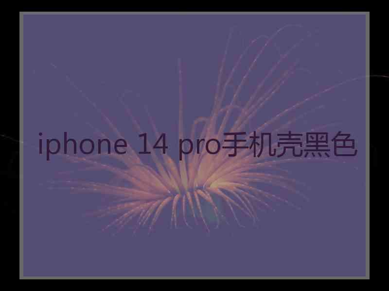 iphone 14 pro手机壳黑色