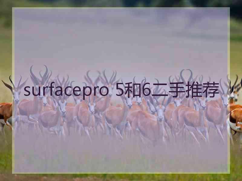 surfacepro 5和6二手推荐