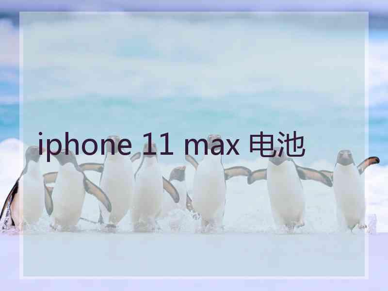 iphone 11 max 电池