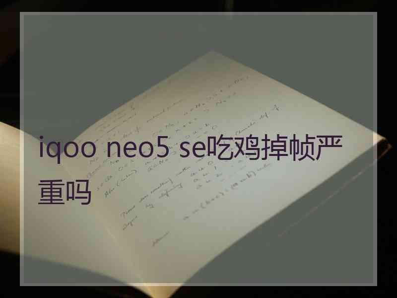 iqoo neo5 se吃鸡掉帧严重吗