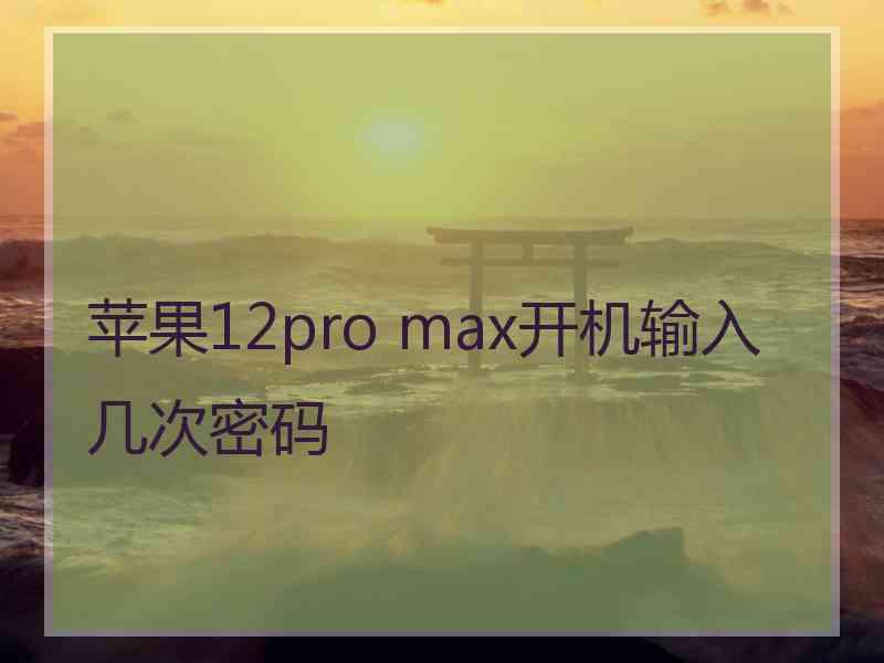 苹果12pro max开机输入几次密码