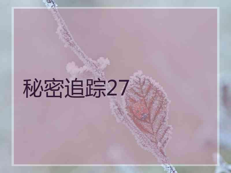 秘密追踪27