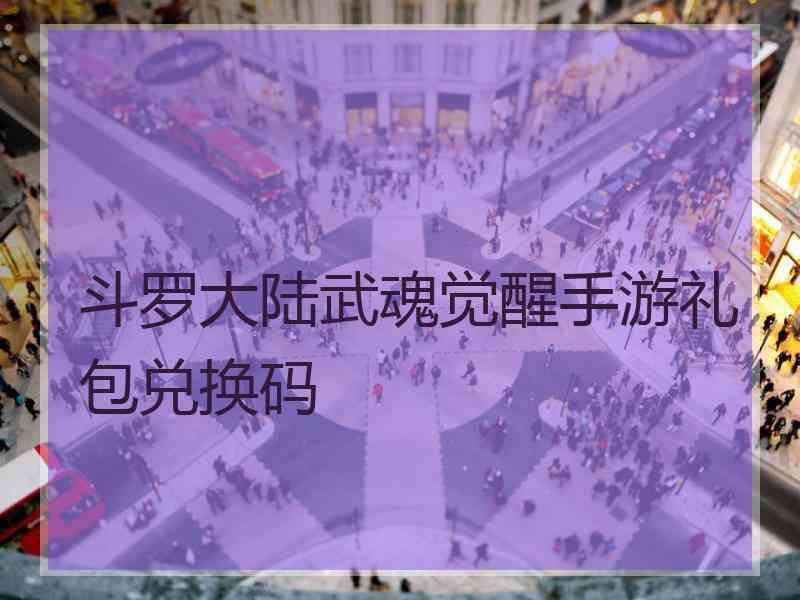 斗罗大陆武魂觉醒手游礼包兑换码