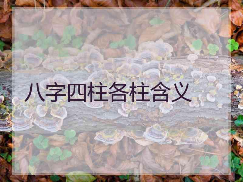 八字四柱各柱含义