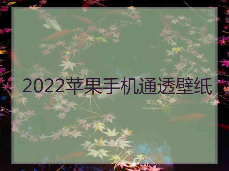 2022苹果手机通透壁纸