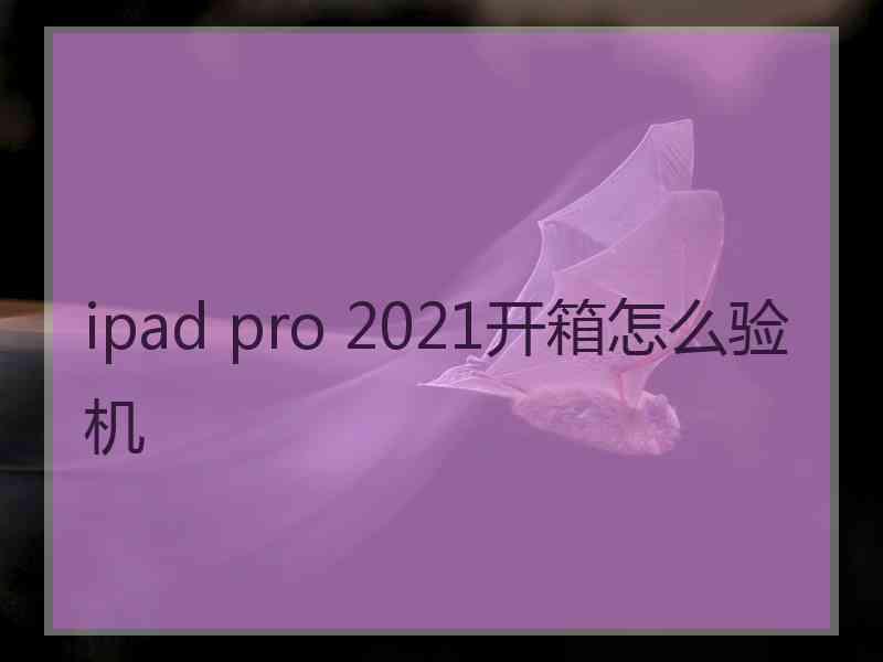 ipad pro 2021开箱怎么验机