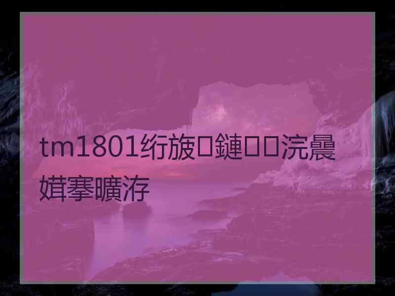 tm1801绗旇鏈浣曟媶搴曠洊