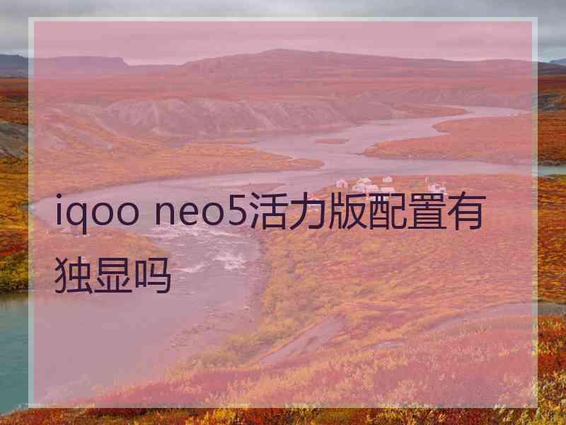 iqoo neo5活力版配置有独显吗