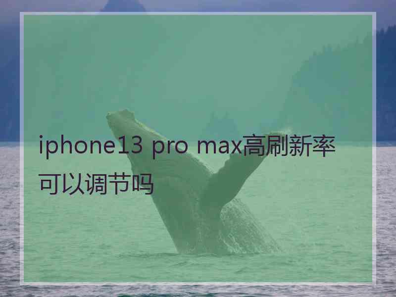 iphone13 pro max高刷新率可以调节吗