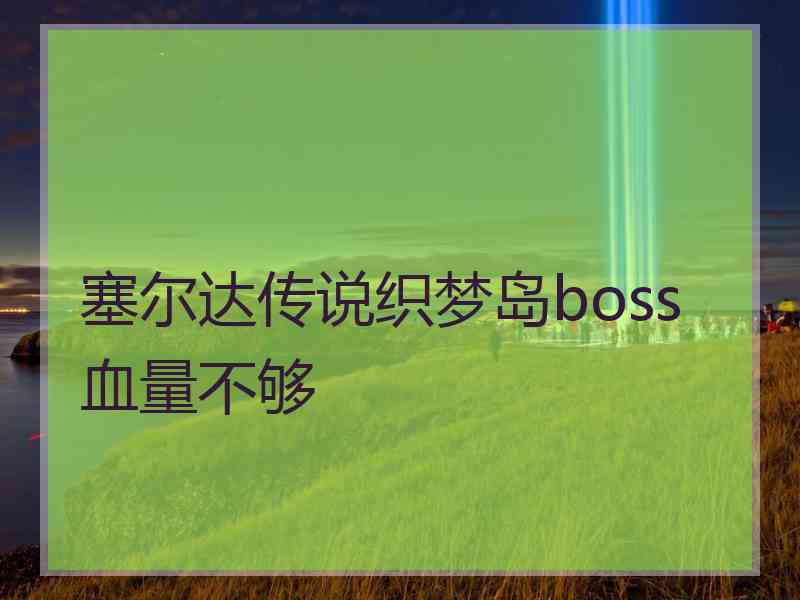 塞尔达传说织梦岛boss血量不够