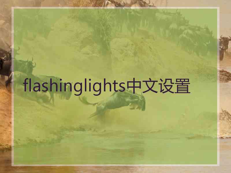 flashinglights中文设置