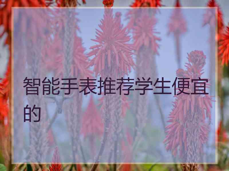 智能手表推荐学生便宜的