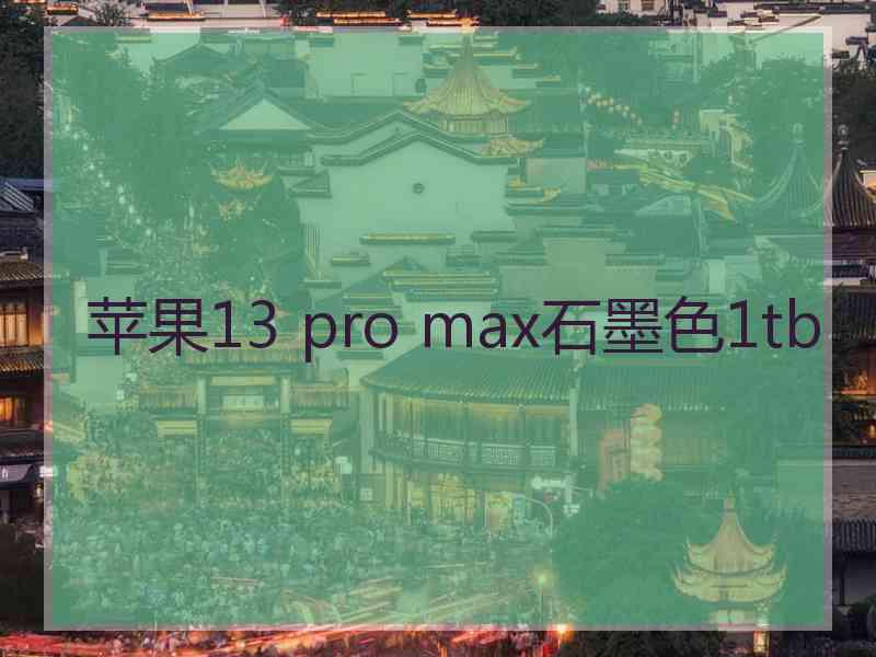 苹果13 pro max石墨色1tb