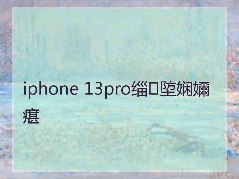 iphone 13pro缁埅娴嬭瘎