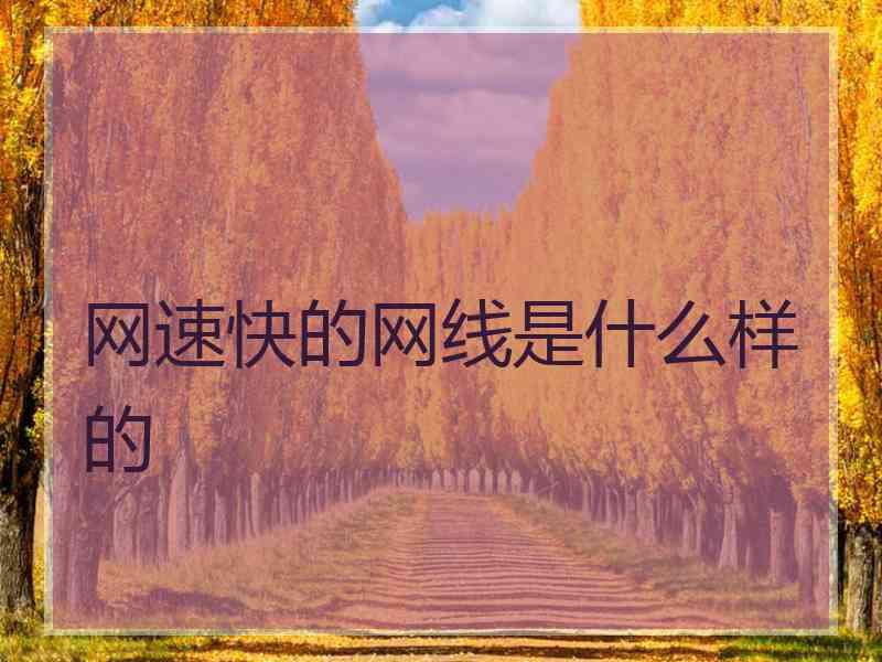 网速快的网线是什么样的