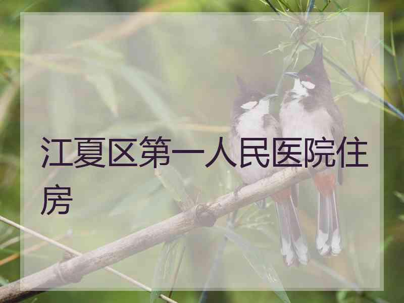 江夏区第一人民医院住房