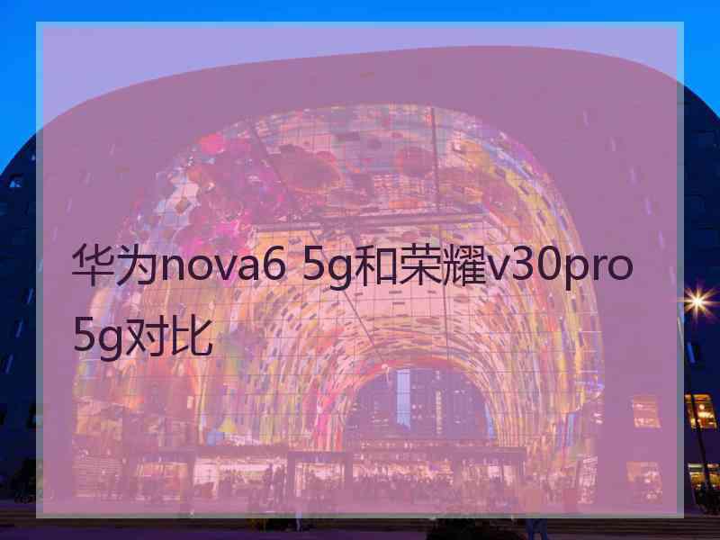 华为nova6 5g和荣耀v30pro5g对比