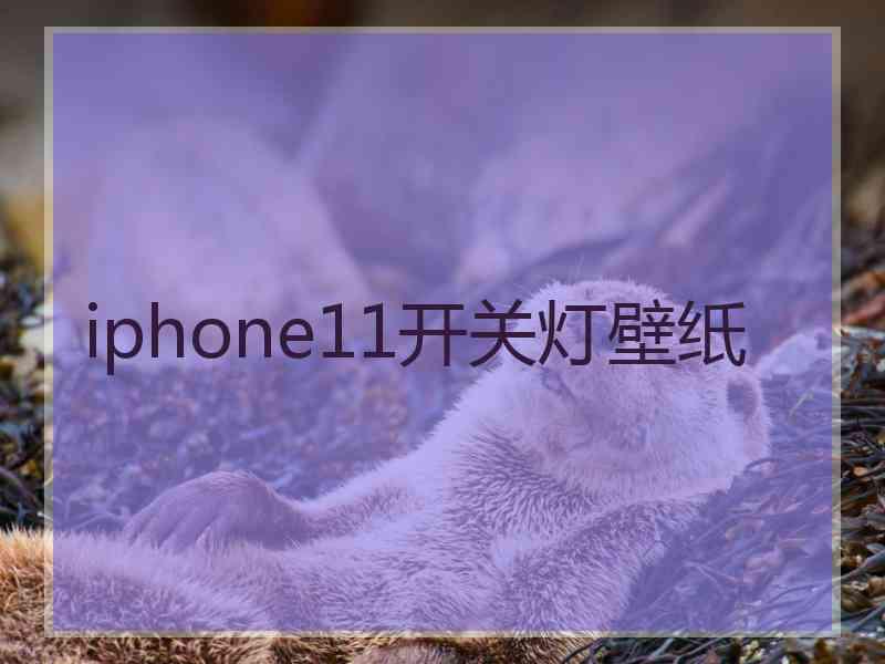 iphone11开关灯壁纸