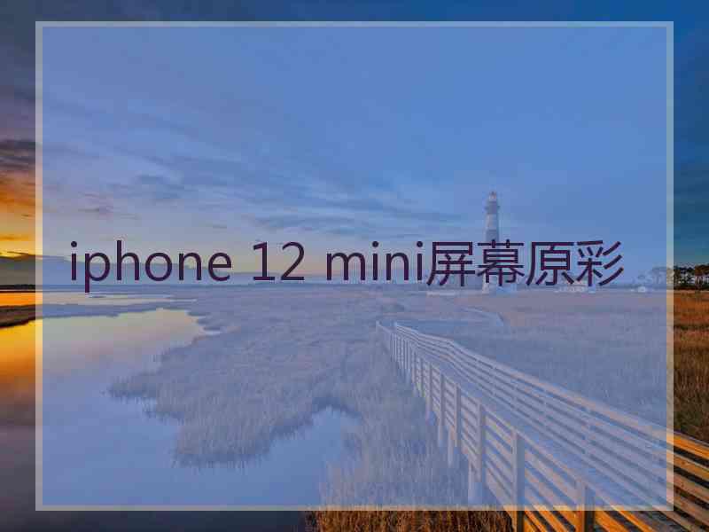 iphone 12 mini屏幕原彩