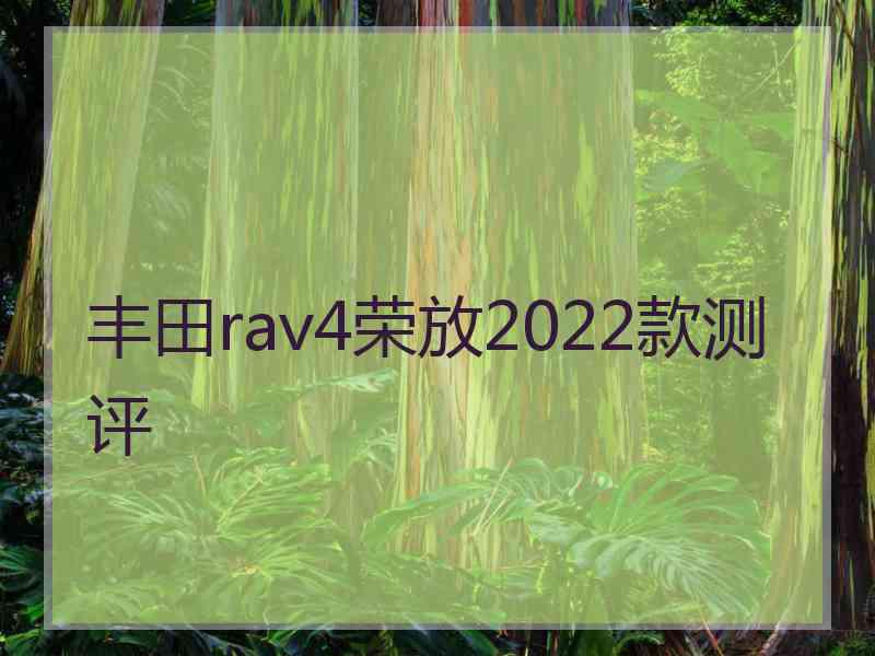 丰田rav4荣放2022款测评