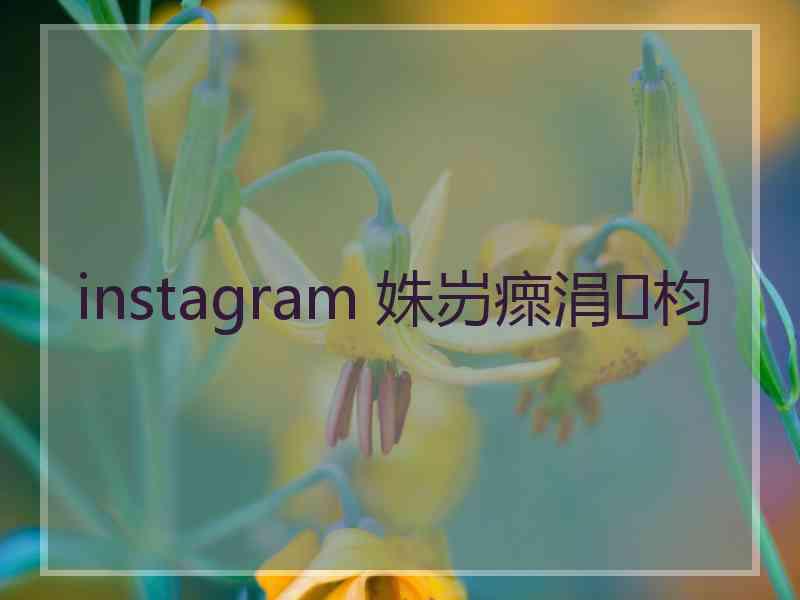 instagram 姝岃瘝涓枃