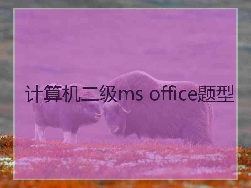 计算机二级ms office题型