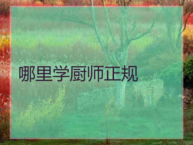 哪里学厨师正规