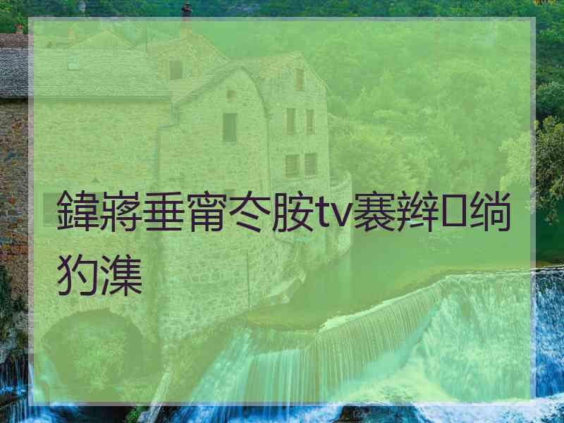 鍏嶈垂甯冭胺tv褰辫绱犳潗