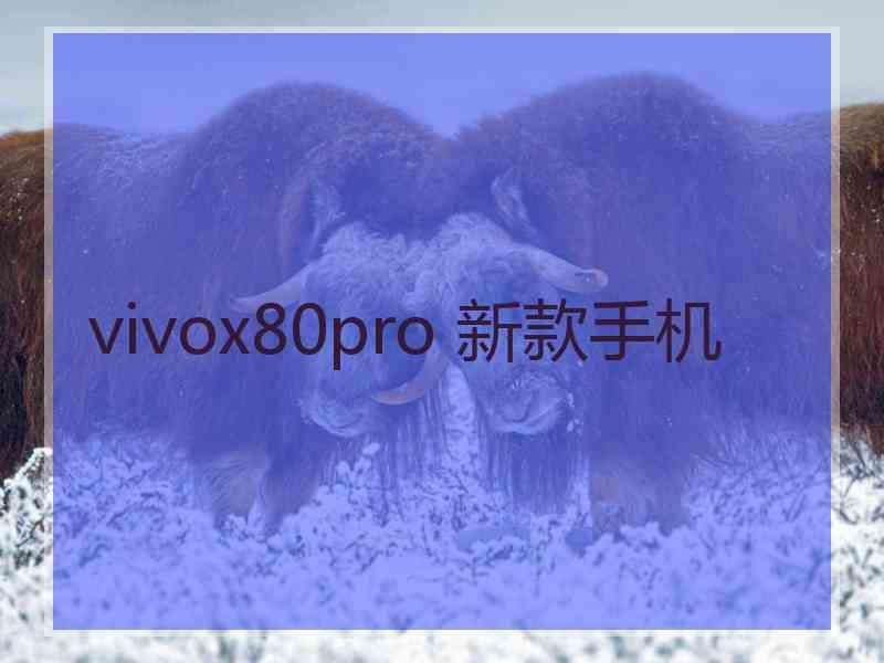 vivox80pro 新款手机