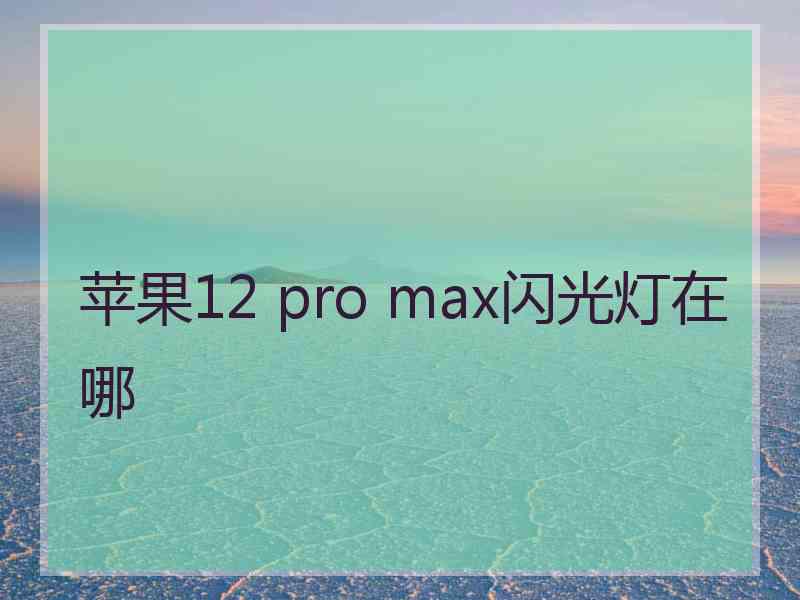 苹果12 pro max闪光灯在哪