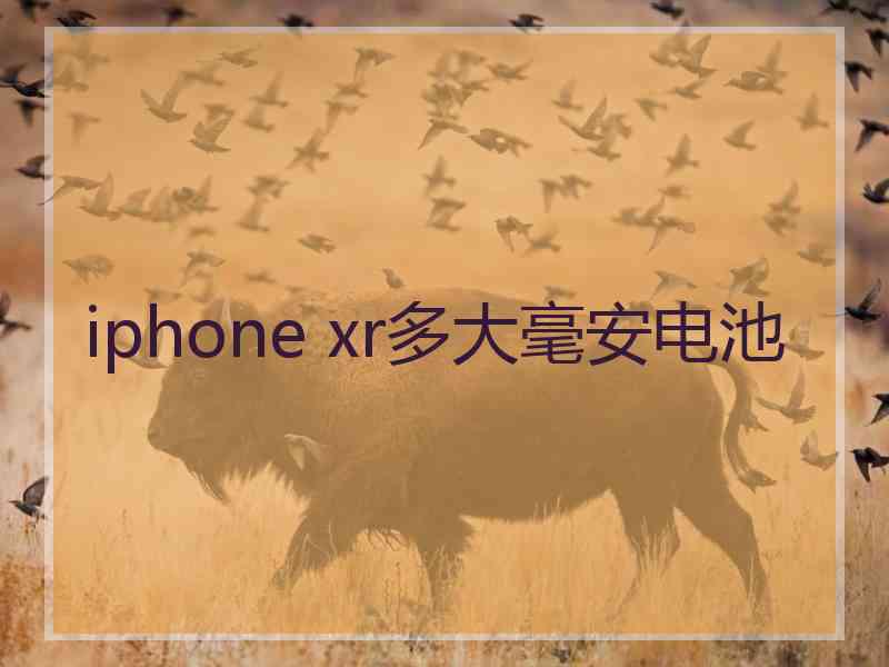 iphone xr多大毫安电池