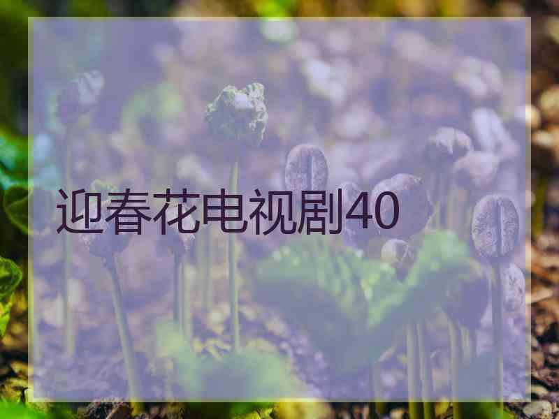 迎春花电视剧40