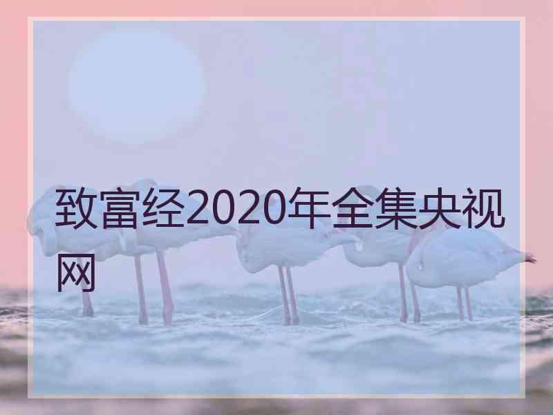 致富经2020年全集央视网