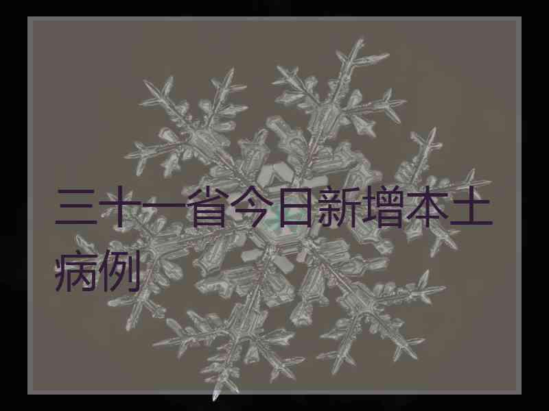 三十一省今日新增本土病例