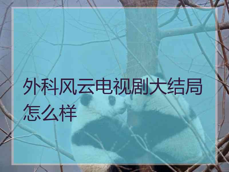 外科风云电视剧大结局怎么样