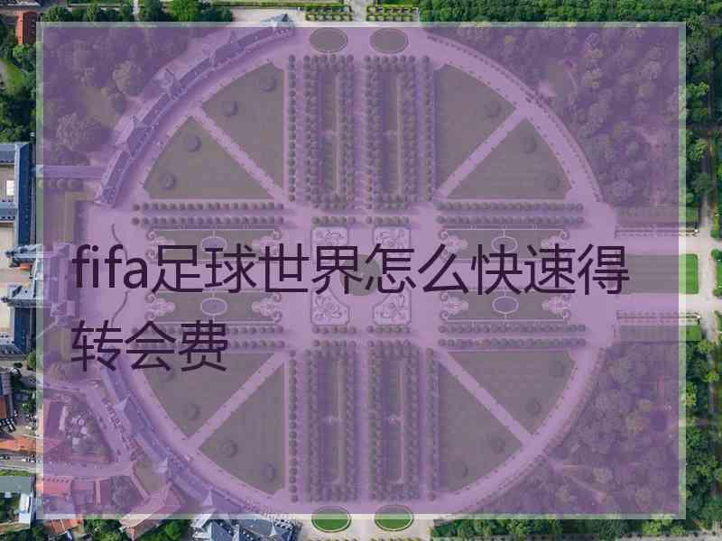 fifa足球世界怎么快速得转会费