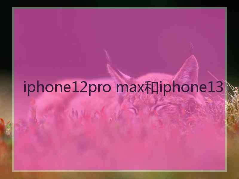 iphone12pro max和iphone13