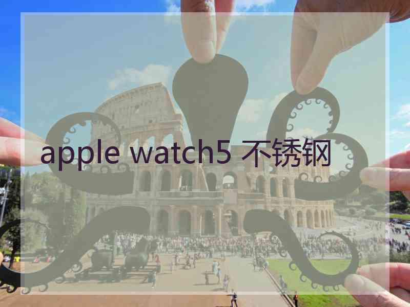 apple watch5 不锈钢