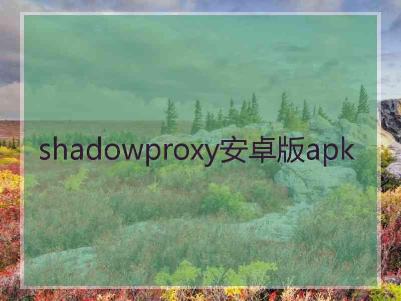 shadowproxy安卓版apk