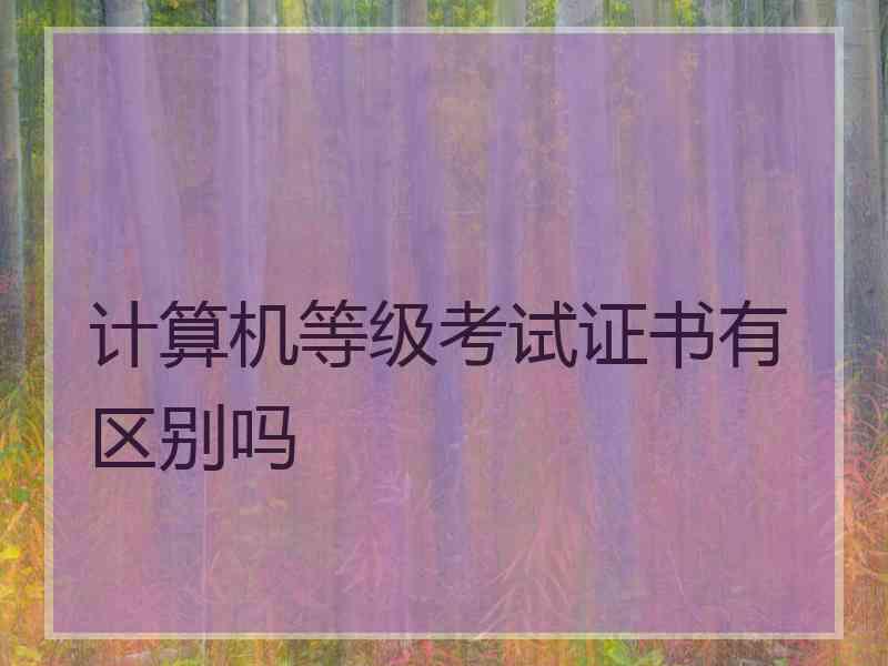 计算机等级考试证书有区别吗