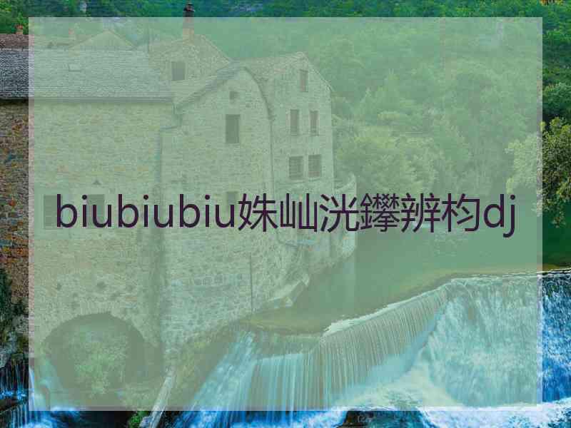 biubiubiu姝屾洸鑻辨枃dj