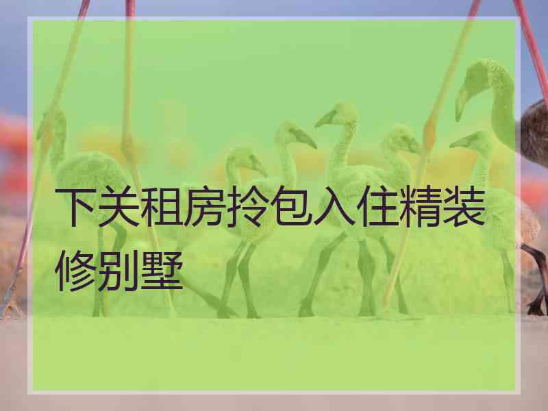 下关租房拎包入住精装修别墅