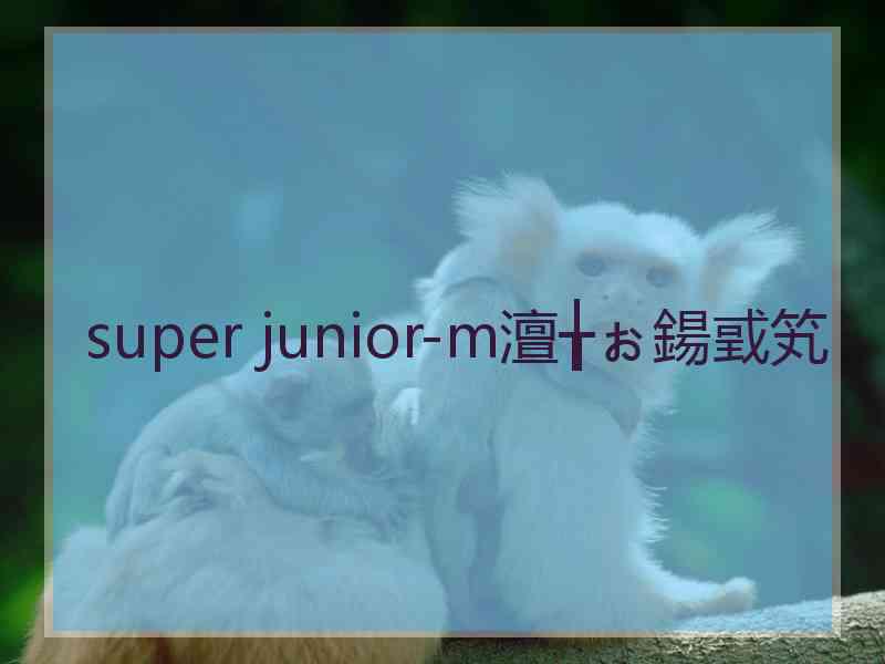 super junior-m澶╁ぉ鍚戜笂