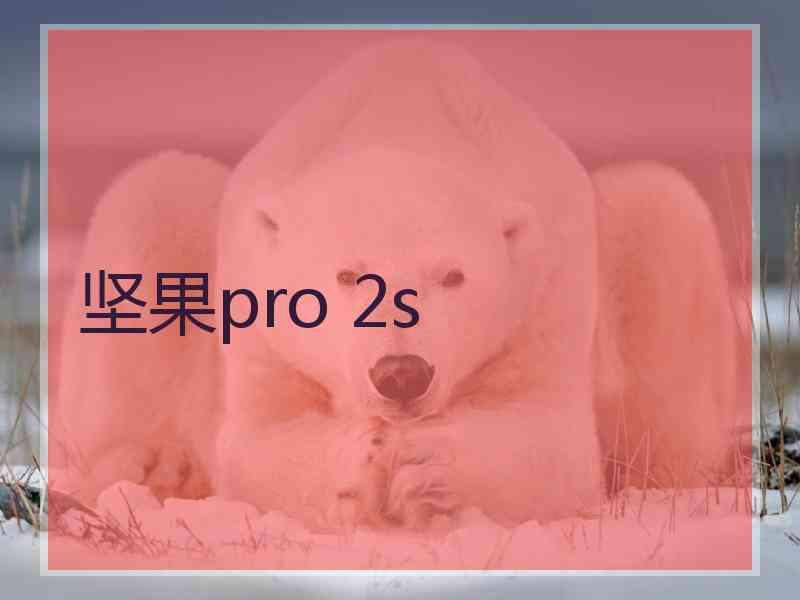 坚果pro 2s