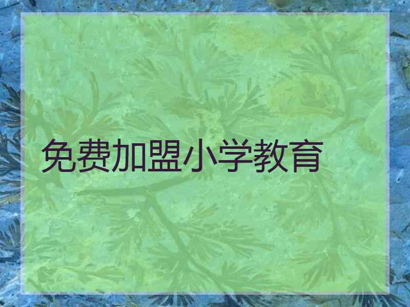 免费加盟小学教育