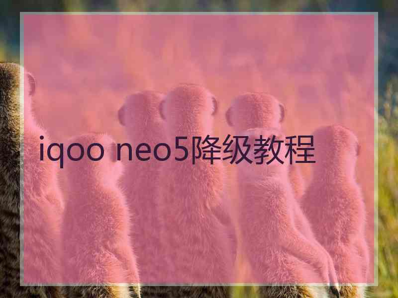 iqoo neo5降级教程