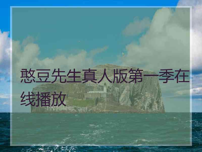 憨豆先生真人版第一季在线播放